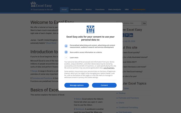 Screenshot of excel-easy.com