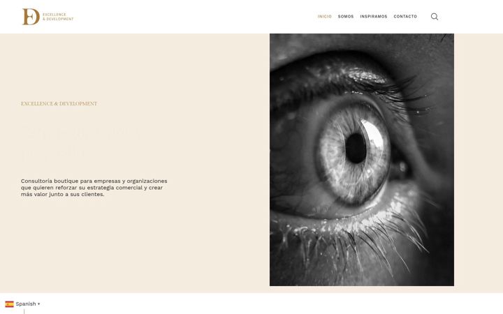 Screenshot of excellencedevelopment.es