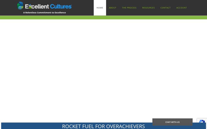 Screenshot of excellentcultures.com