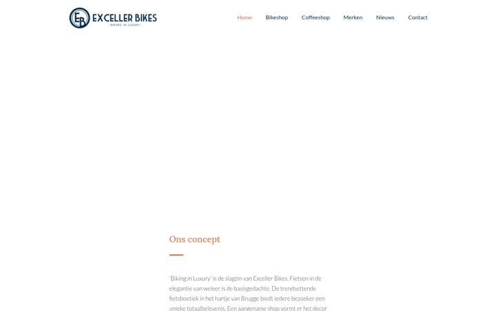 Screenshot of excellerbikes.com