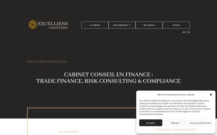Screenshot of excelliens-consulting.com