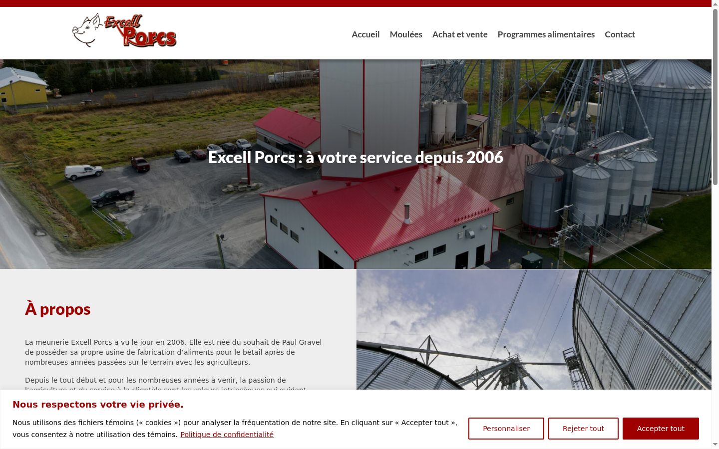 Captura de pantalla del banner de consentimiento mostrado antes de cualquier interacción