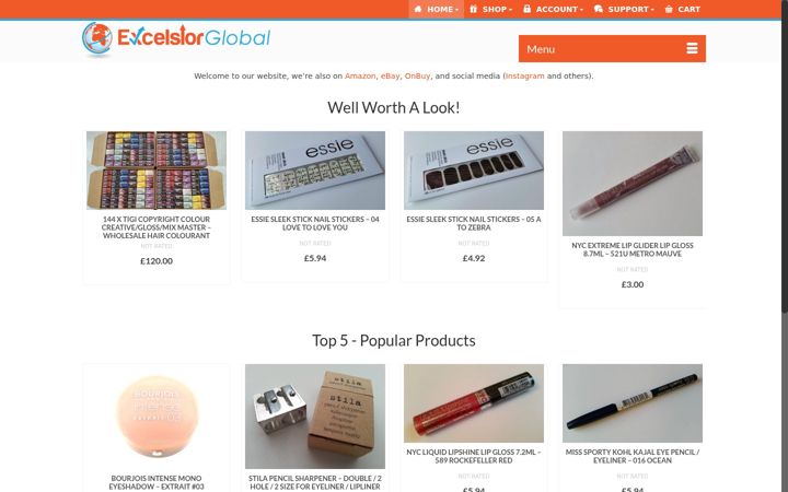 Screenshot of excelsiorglobal.co.uk