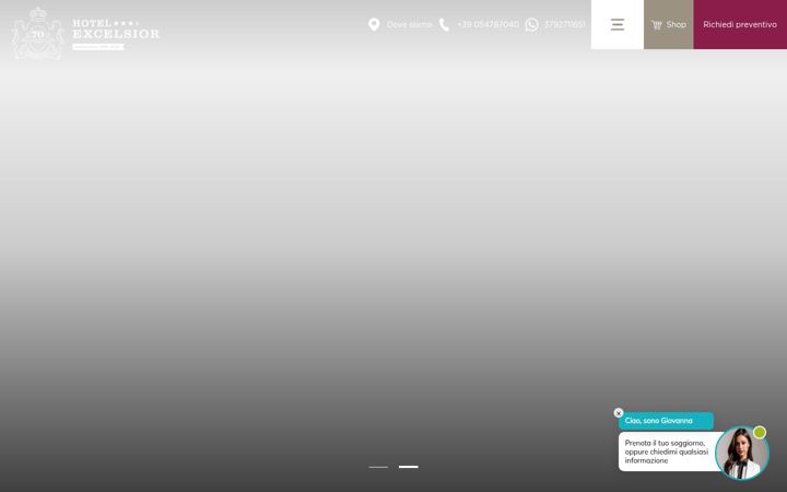 Screenshot of excelsiorhotel.com