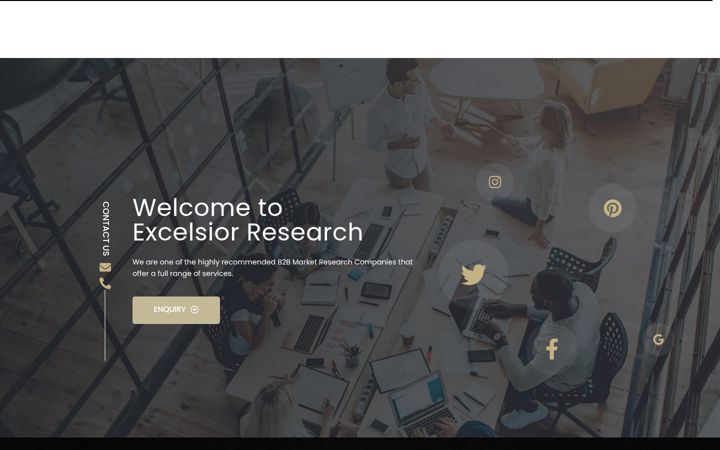 Zrzut ekranu excelsiorresearch.co.uk
