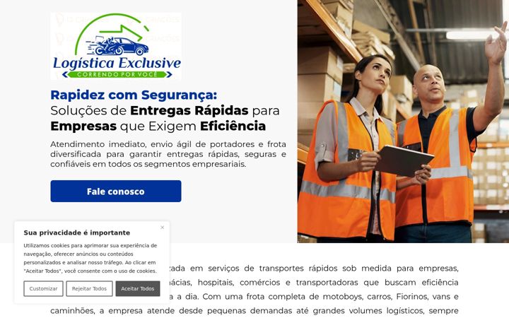 Screenshot of exclusivelog.com.br