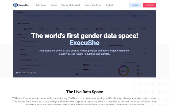 Screenshot of execushe.com