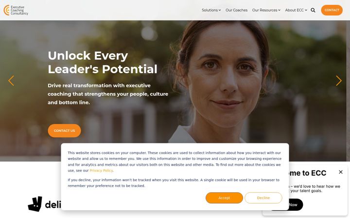 Screenshot of executive-coaching.co.uk