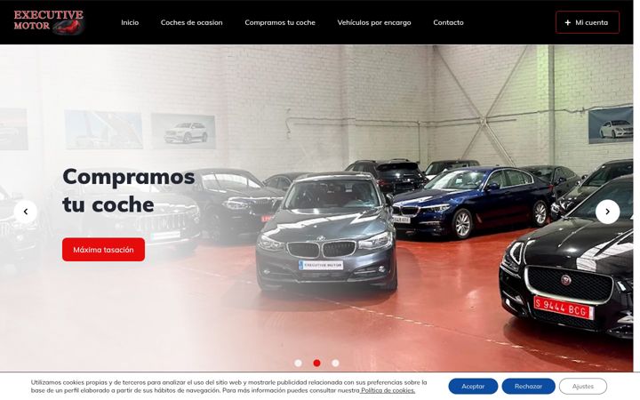 Screenshot of executivemotor.es