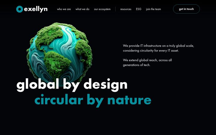 Screenshot of exellyn.com