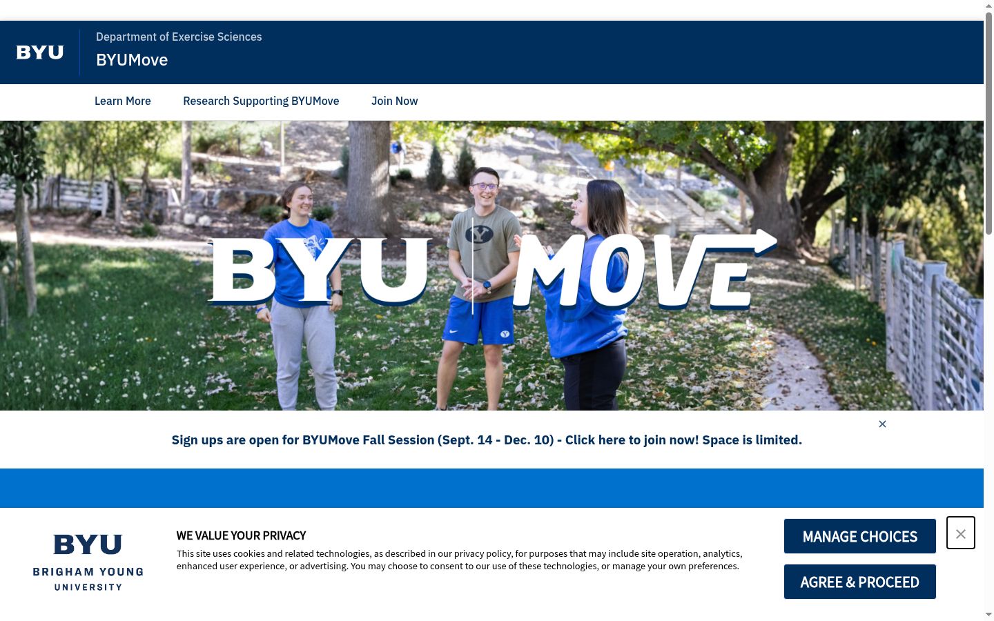 Screenshot of the consent banner shown before any interaction
