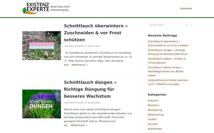Screenshot of existenzexperte.com
