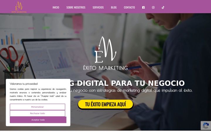 Screenshot of exitomarketingdigital.com