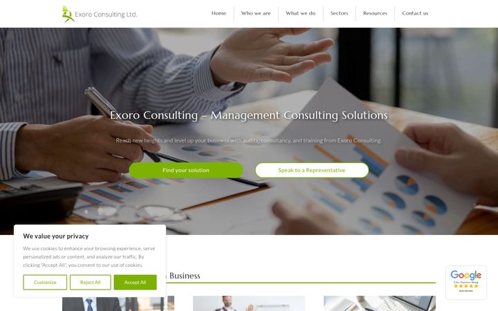 Screenshot of exoro-consulting.co.uk