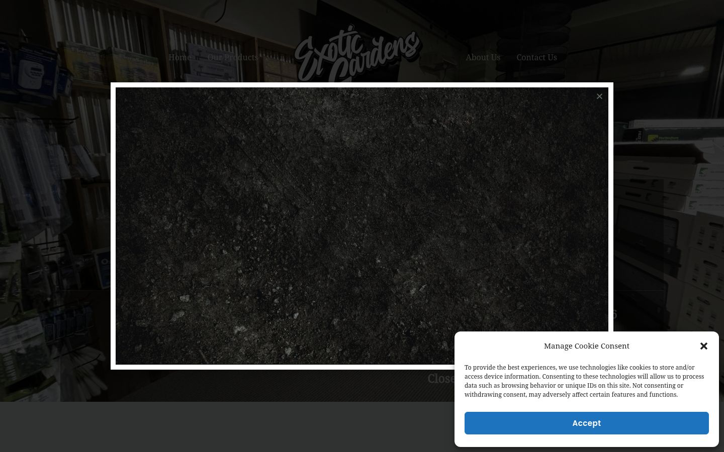 Captura de ecrã do banner de consentimento apresentado antes de qualquer interação