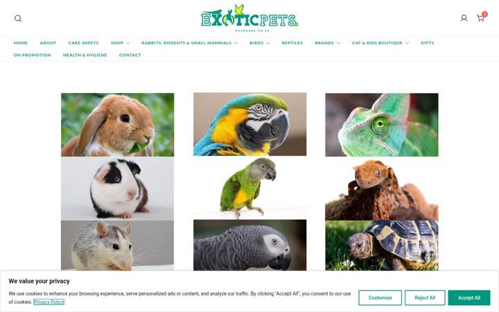 Képernyőkép: exoticpetsoverberg.co.za