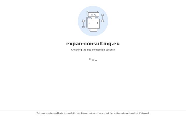 Screenshot of expan-consulting.eu