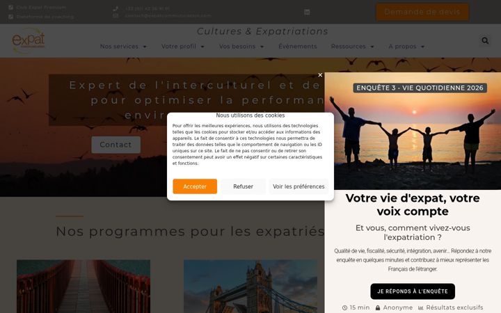 Screenshot of expatcommunication.com