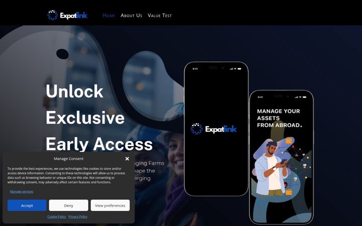 Skjámynd af expatlink.net