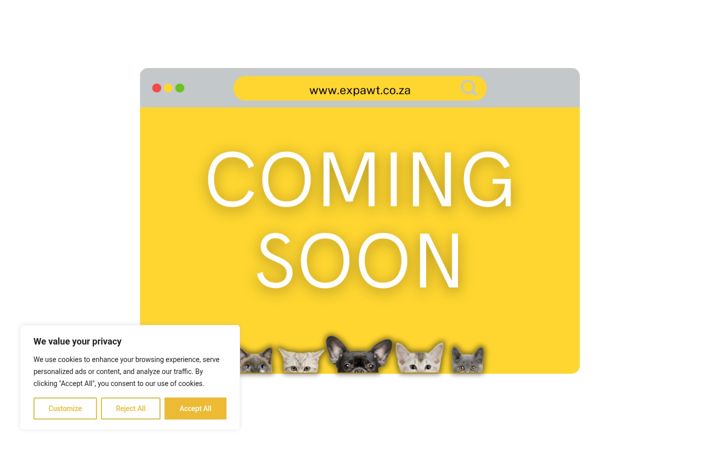 Képernyőkép: expawt.co.za