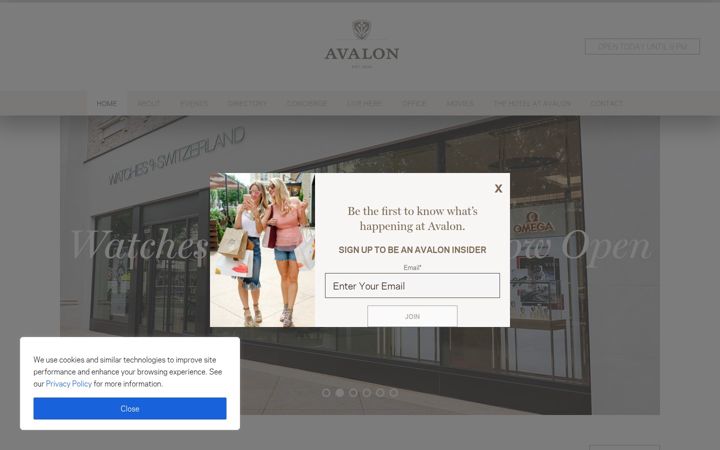 Screenshot of experienceavalon.com