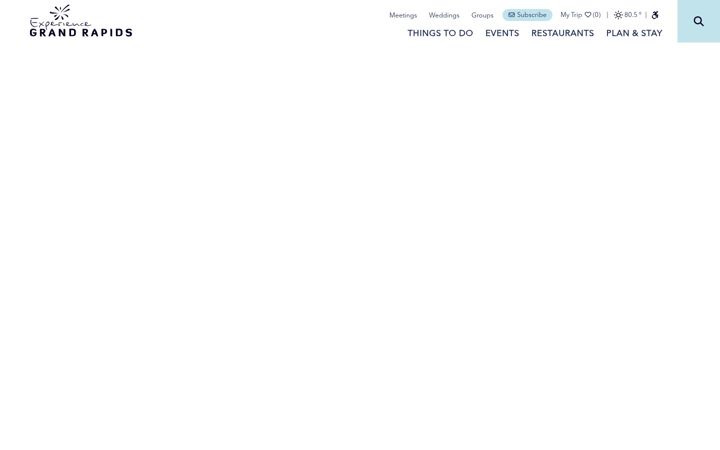 Screenshot of experiencegr.com