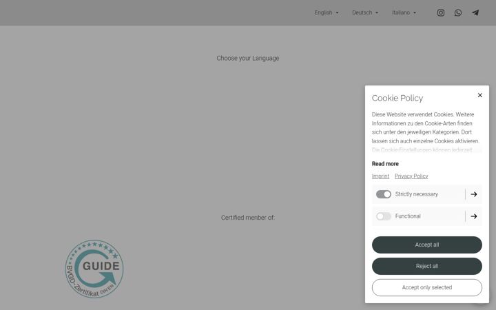 Screenshot of experiencehamburgtours.com