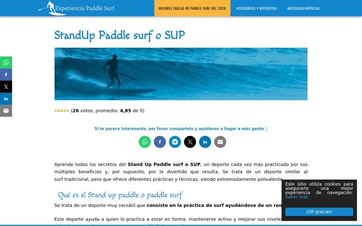 Screenshot of experienciapaddlesurf.com