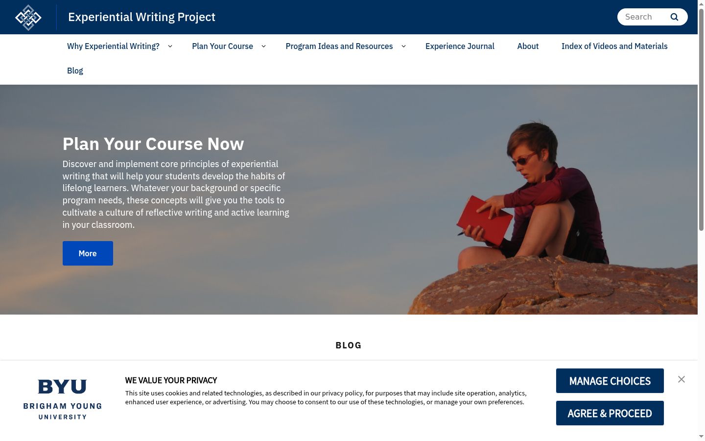 Screenshot of the consent banner shown before any interaction
