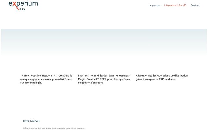 Screenshot of experium-flex.com