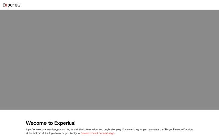 Screenshot of experius.biz