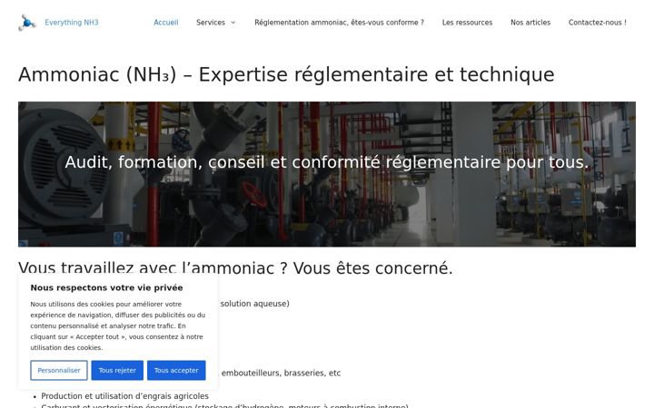 Screenshot of expert-ammoniac.com