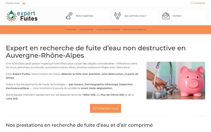 Capture d'écran de expert-fuites.fr