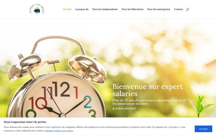 Screenshot ta' expert-salaries.ch