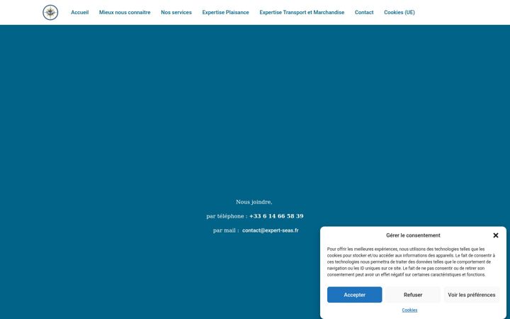 Screenshot of expert-seas.fr