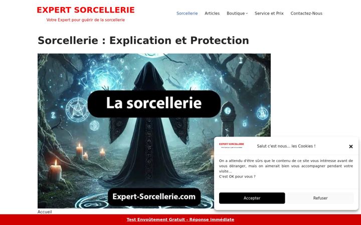 Screenshot of expert-sorcellerie.com