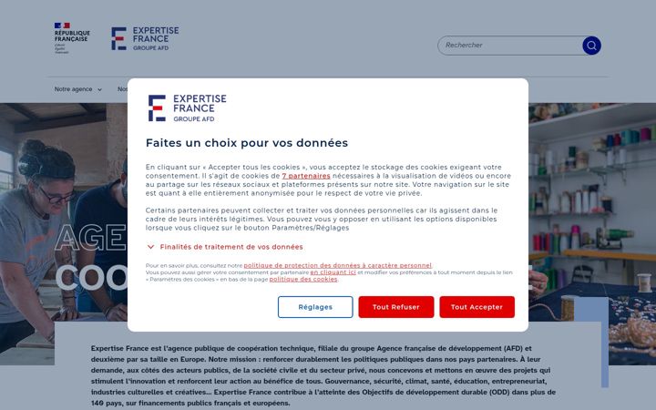 Screenshot of expertisefrance.fr