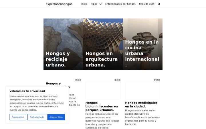 Screenshot of expertosenhongos.com