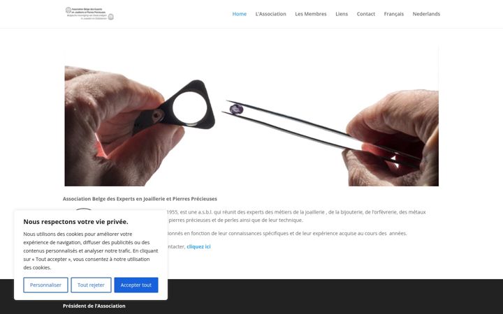 Screenshot di experts-joaillerie-pierresprecieuses.be