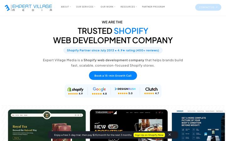 Screenshot of expertvillagemedia.com