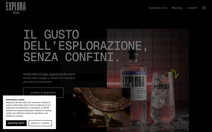 Screenshot of exploragin.com