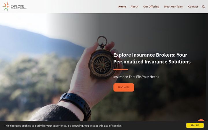 Képernyőkép: explore-insbrokers.co.za