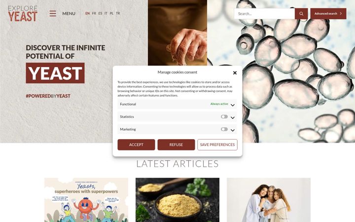 Screenshot of exploreyeast.com