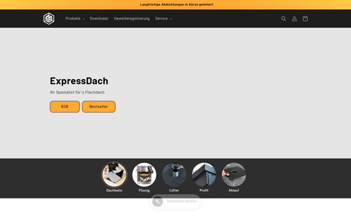 Screenshot of expressdach.de