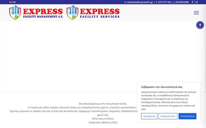 Screenshot of expressfacility.gr