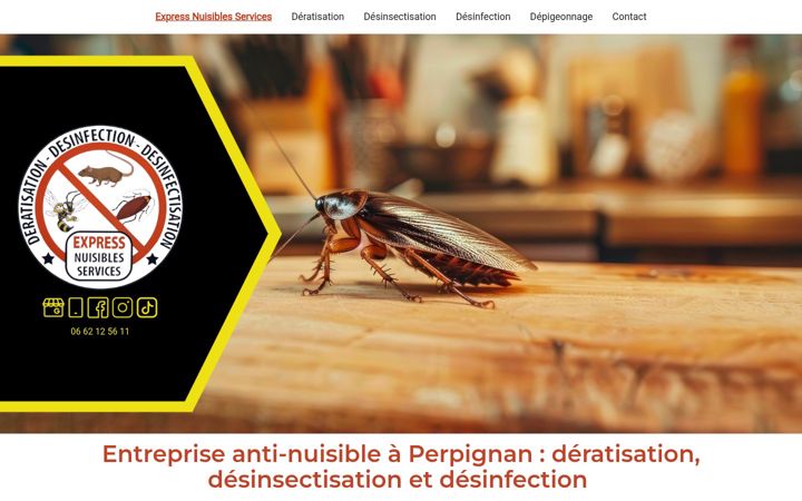 Screenshot of expressnuisiblesservices.fr