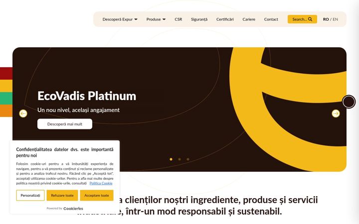 Screenshot of expur.ro