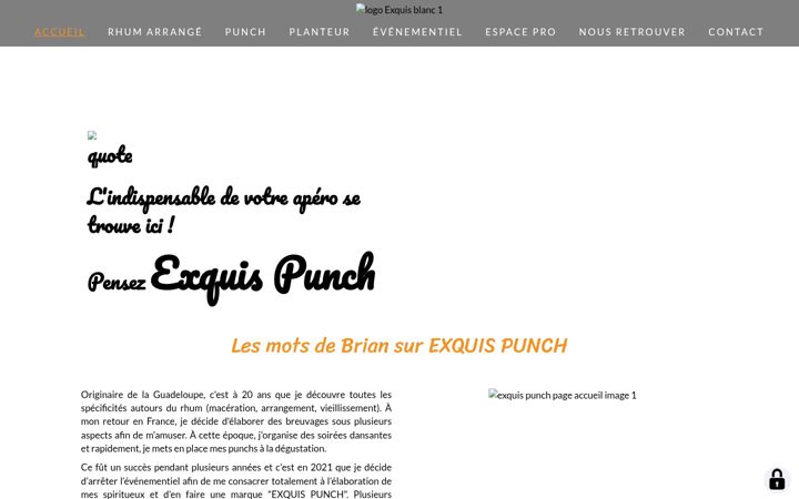 Screenshot of exquispunch-28.fr