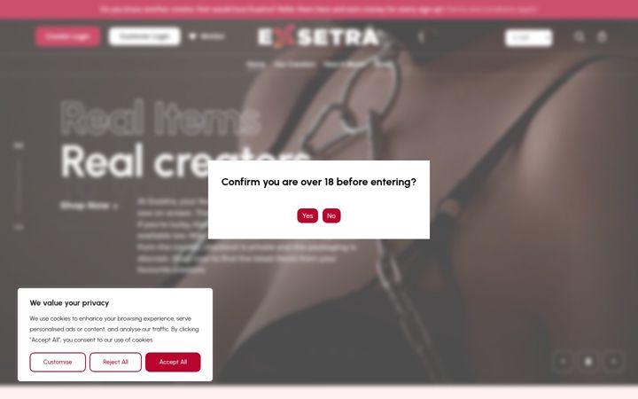 Screenshot of exsetra.co.uk
