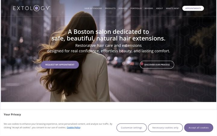 Screenshot of extology.com